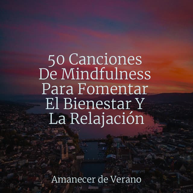 50 Canciones De Mindfulness Para Fomentar El Bienestar Y La Relajación - Música Relajante para Bebés