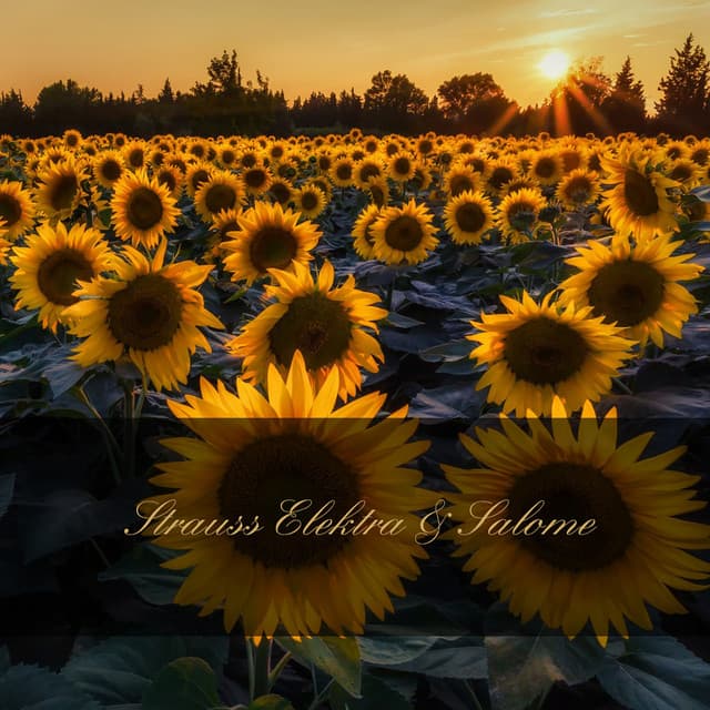 Strauss Elektra & Salome - Richard Strauss