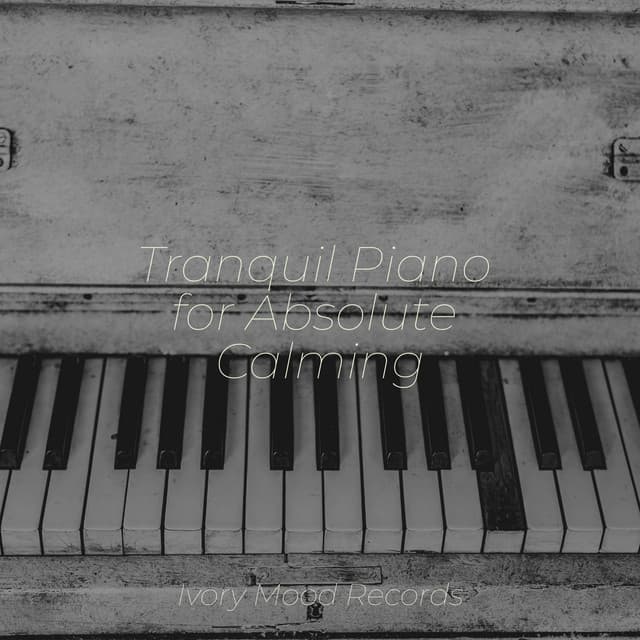Tranquil Piano for Absolute Calming - Chillout Lounge