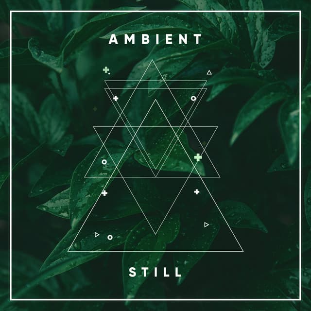 Ambient Still - The Sound Reserve