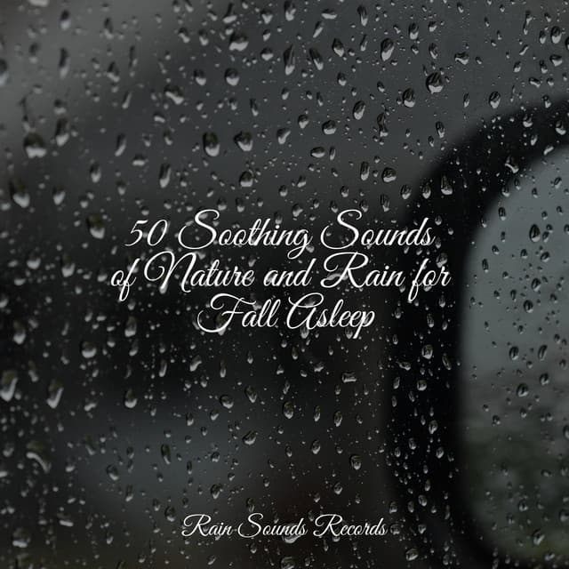 50 Soothing Sounds of Nature and Rain for Fall Asleep - Ocean Sounds