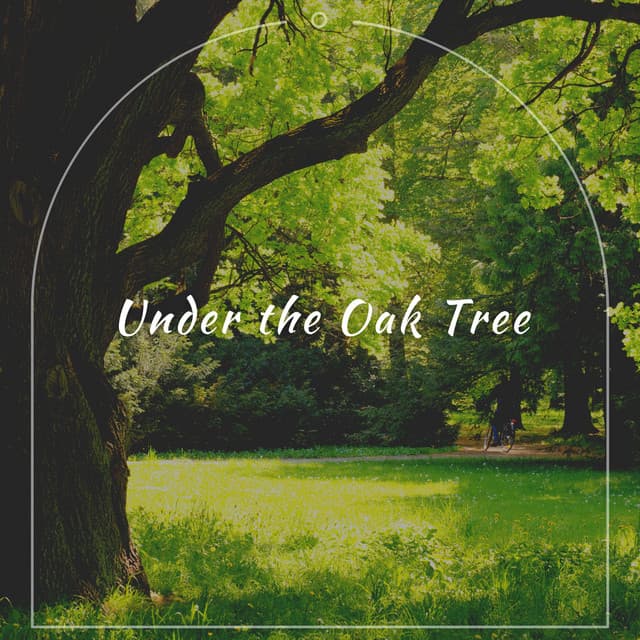 Under the Oak Tree - Quiet Meditation Music