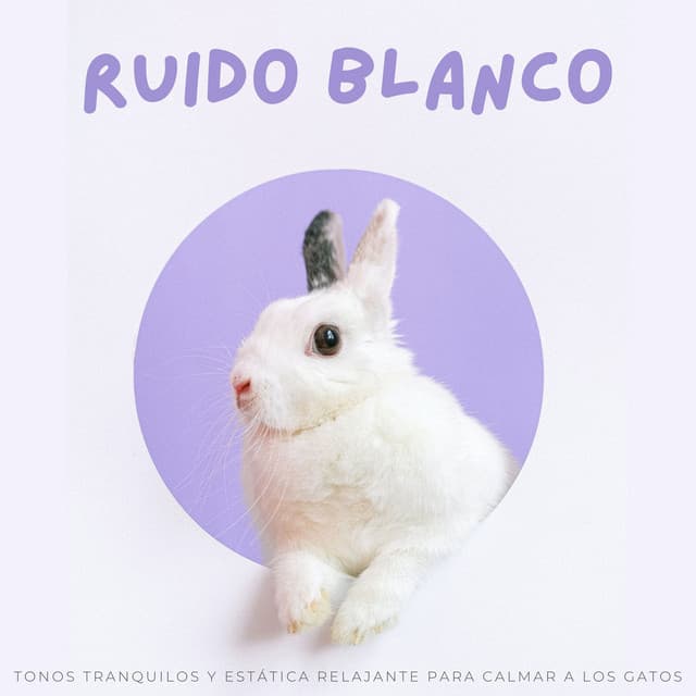 Android de ruido blanco