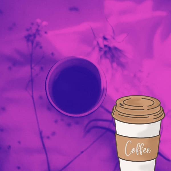 Acoustic and Electric Bossanova Piano Duo - Ambiance for Every Space - Elevator Music