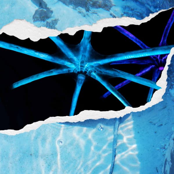 Peaceful Music for May Thinking - Soprano Sax Solo - Work Music Background Music