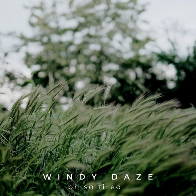 Windy Daze - Oh so Tired