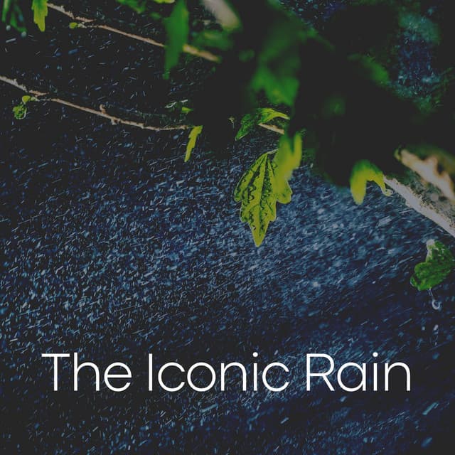 The Iconic Rain - Sample Rain Library
