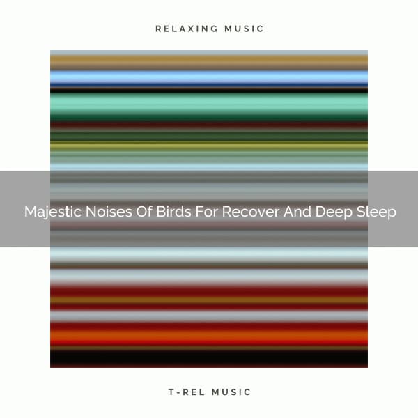 2021 New: Majestic Noises Of Birds For Recover And Deep Sleep - White Noise Meditation