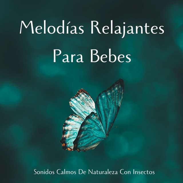 Sonidos Calmos De Naturaleza Con Insectos: Melodías Relajantes Para Bebés - Naturaleza Calma