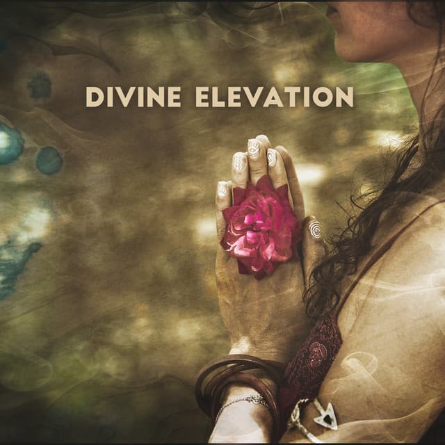 Divine Elevation: Sacred Earth, Meditation, Bliss, Gratefulness - Bible Study Music