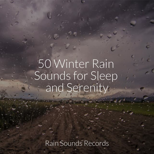 50 Winter Rain Sounds for Sleep and Serenity - Spa Relaxation