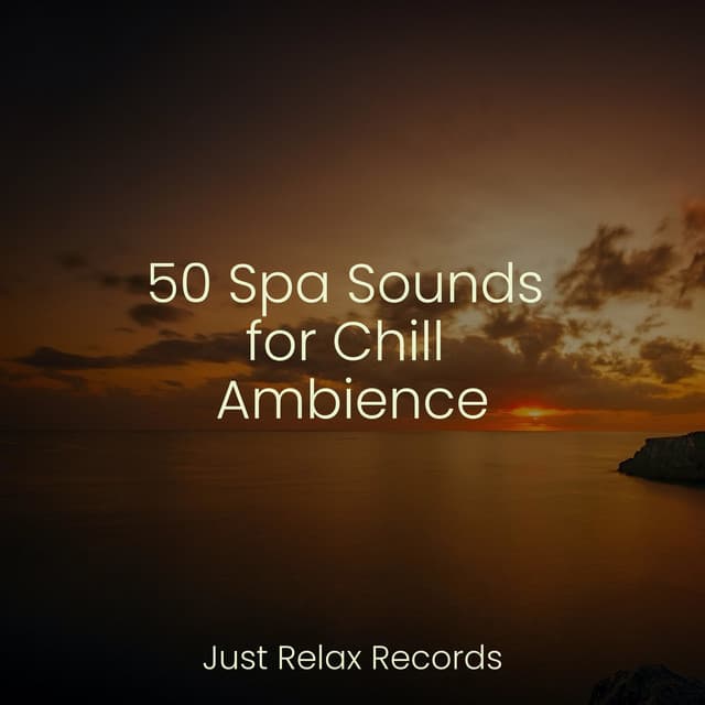 50 Spa Sounds for Chill Ambience - Bird Sounds