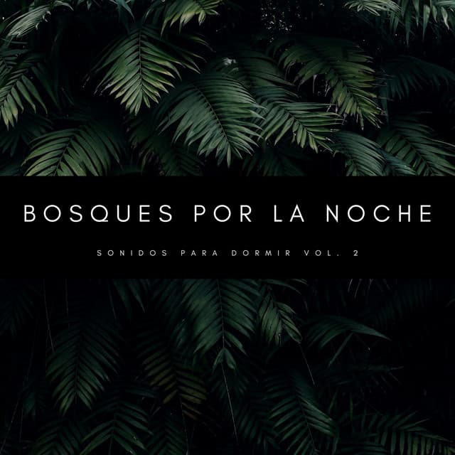 Bosques Por La Noche: Sonidos Para Dormir Vol. 2 - Sonidos de la Naturaleza para Dormir