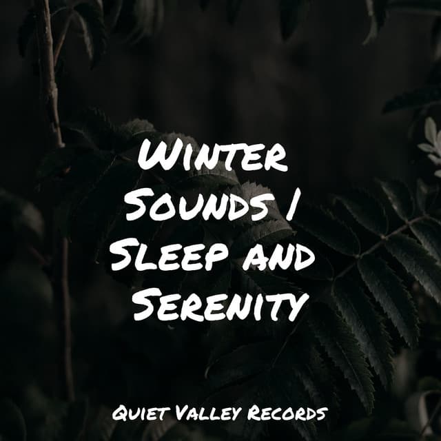 Winter Sounds | Sleep and Serenity - Amazing Spa Music