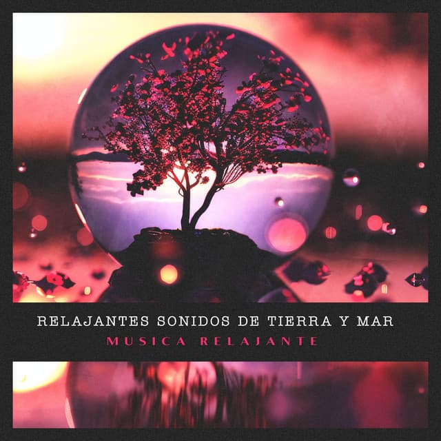 Relajantes sonidos de tierra y mar - Música Relajante