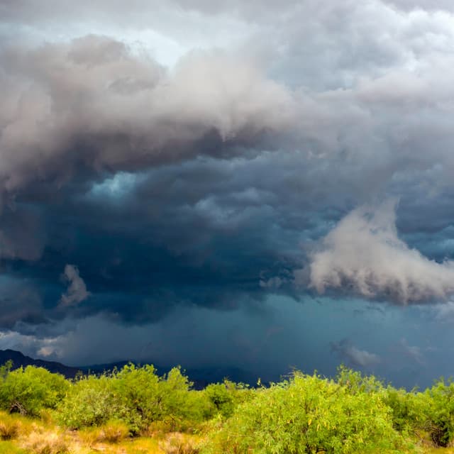 01 Weather Songs: Wetlands - Meditation Rain Sounds
