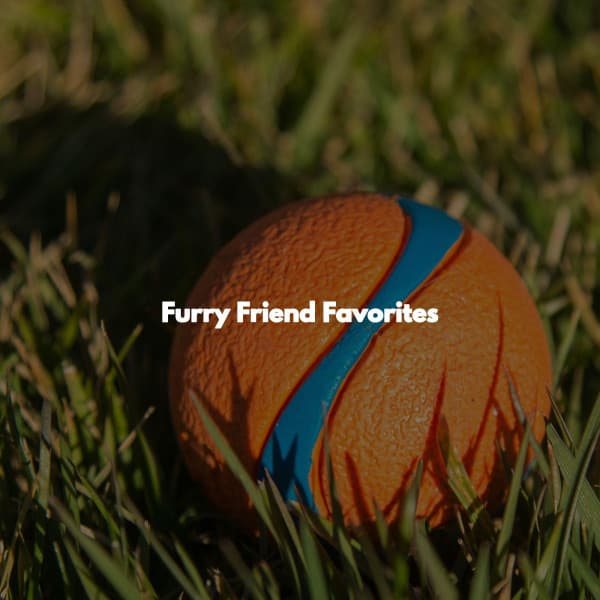 Furry Friend Favorites - Música de Trabajo