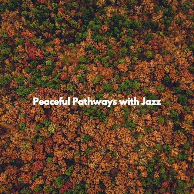 Peaceful Pathways with Jazz - Bossa Lounge Deluxe
