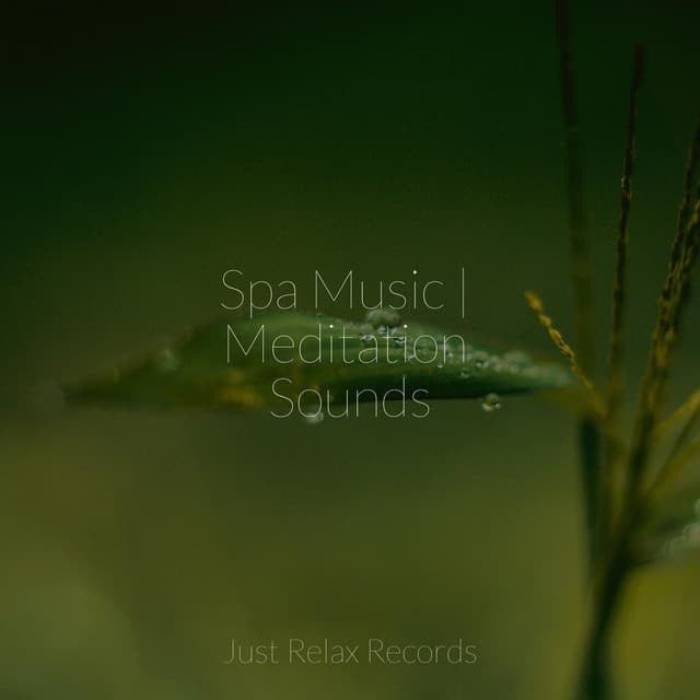 Spa Music | Meditation Sounds - CANCIONES DE CUNA