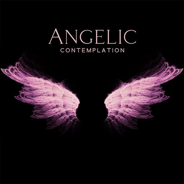 Angelic Contemplation: Background Music for Bible Study with Angel Choirs, Archangel Spiritual Protection, Prayer Sounds - Bible Study Music