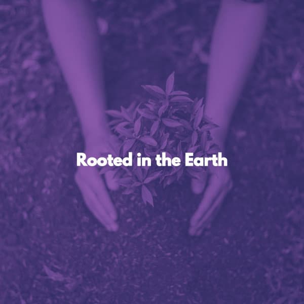 Reading Music Playlist
