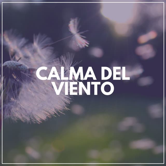 Calma del Viento - Mantra para Meditar