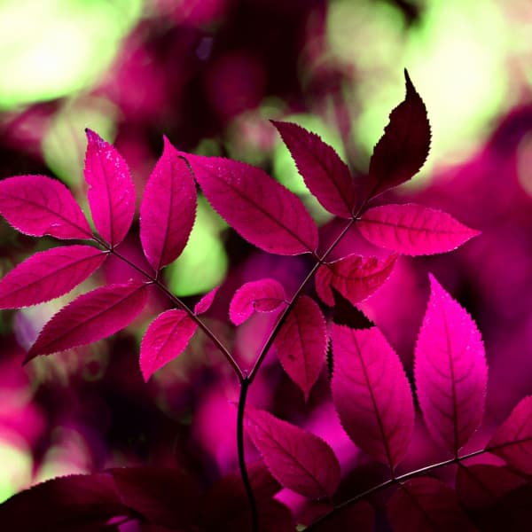 Alluring Ambiance for Deep Tissue Massage - Relaxing Atmospheres