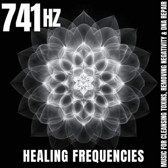 Meditation Music for the Soul