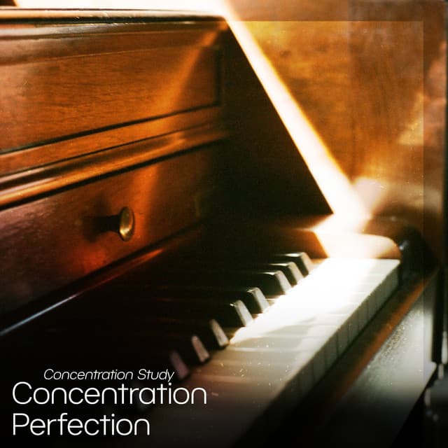 Concentration Perfection - Concentration Study