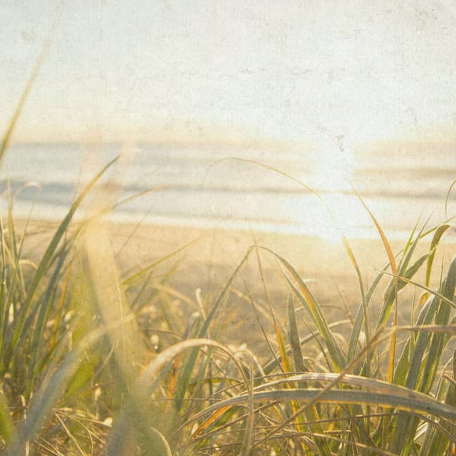 Classical Serenity - Johann Sebastian Bach