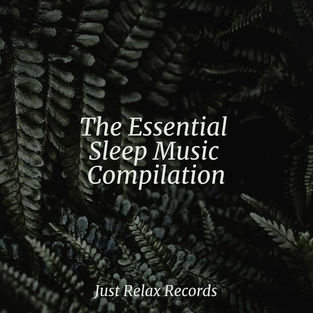 The Essential Sleep Music Compilation - Relaxamento