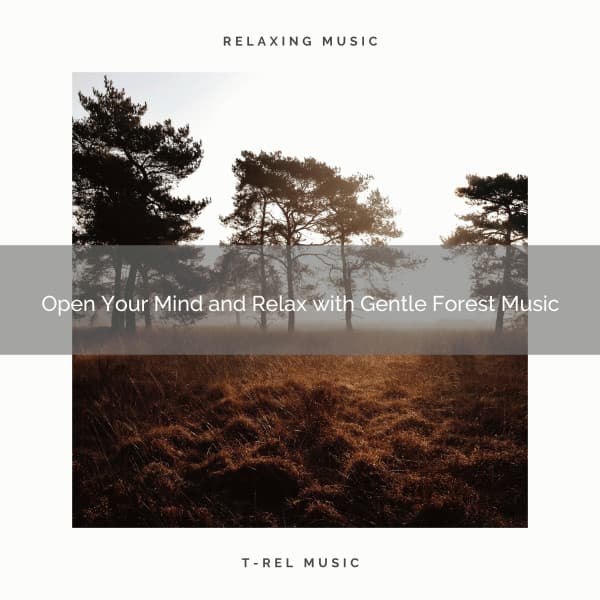 2021 New: Open Your Mind and Relax with Gentle Forest Music - Sleep Songs 101