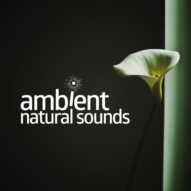 Ambient Natural Sounds - Ambiance nature