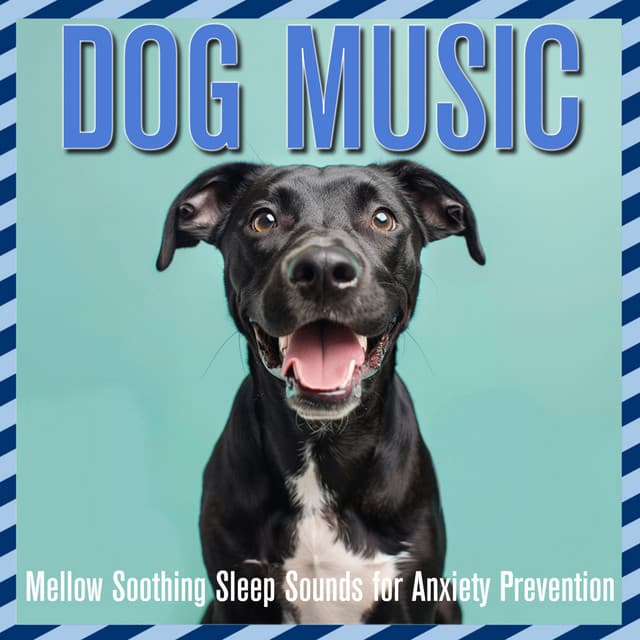 Dog Music: Mellow Soothing Sleep Sounds for Anxiety Prevention - Relaxmydog