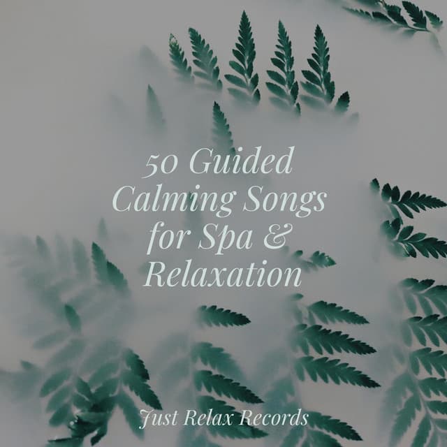 50 Guided Calming Songs for Spa & Relaxation - Meditation Spa