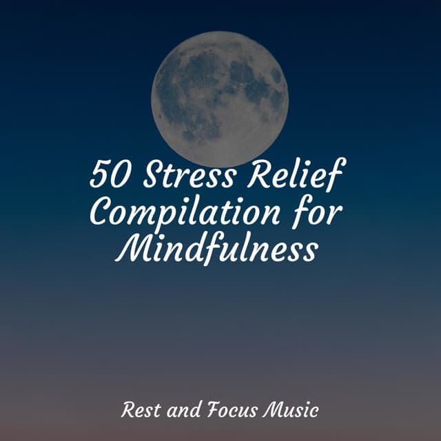 50 Stress Relief Compilation for Mindfulness - Yoga Namaste