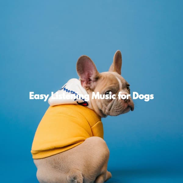 Musica Relajante para Perros Momentos