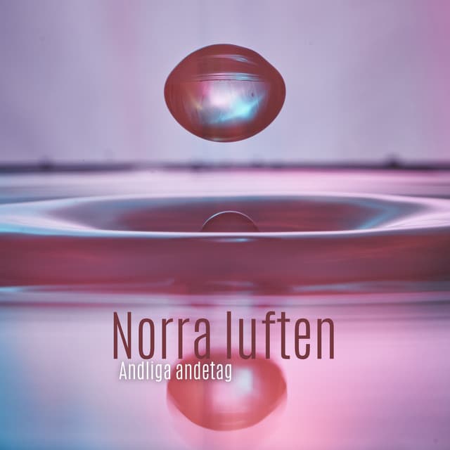 Norra luften: Andliga andetag - Erika Berg