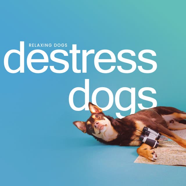 Destress Dogs - Relaxing Dogs