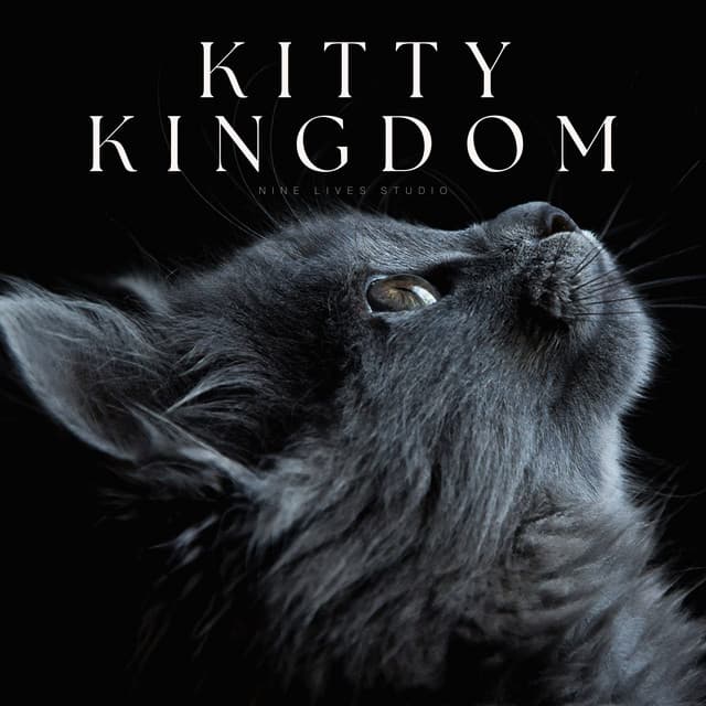 Kitty Kingdom - Kitten Music