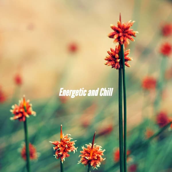 Energetic and Chill - Soft Jazz Background Music