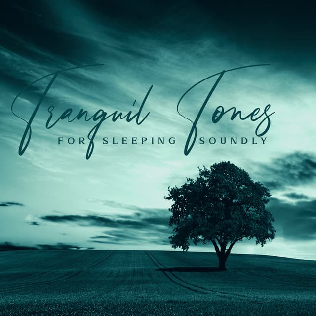 Tranquil Tones for Sleeping Soundly - Robin Gardner