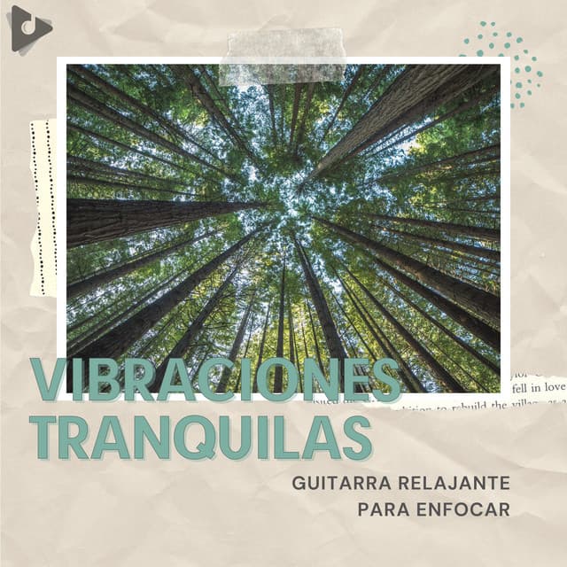 Guitarra Relajante Para Enfocar - Vibraciones Tranquilas