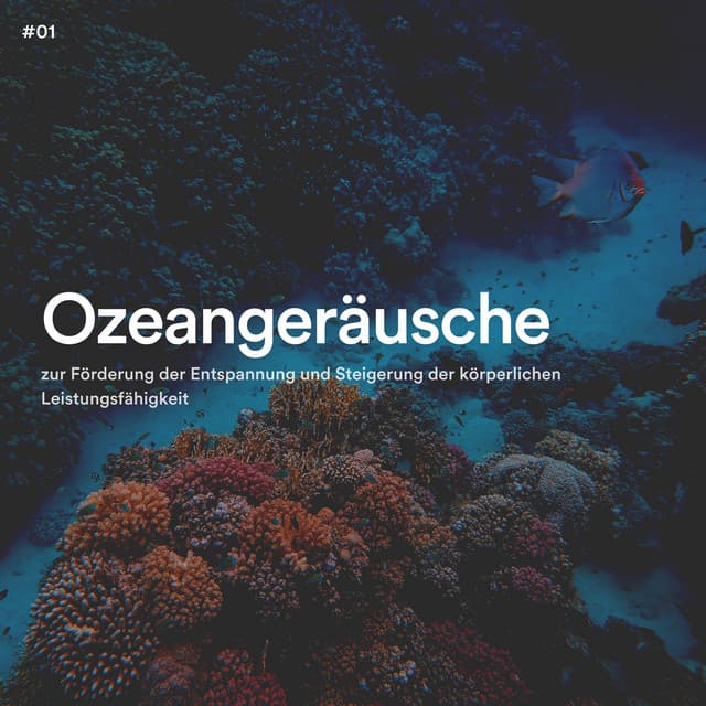 #01 Ozeangeräusche zur Förderung der Entspannung und Steigerung der körperlichen Leistungsfähigkeit - Meeresgeräusche