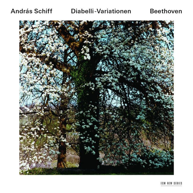 Ludwig van Beethoven: Diabelli-Variationen - Ludwig van Beethoven