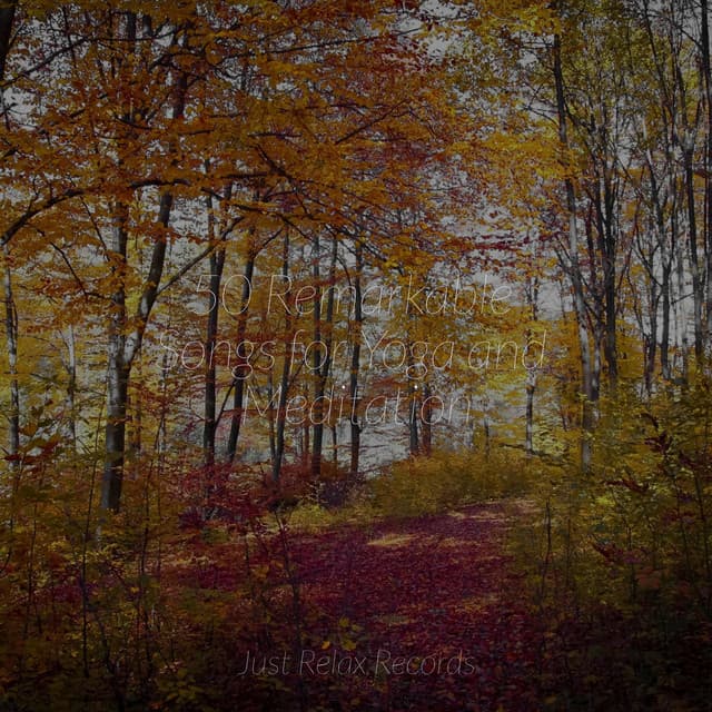 50 Remarkable Songs for Yoga and Meditation - Chinese Relaxation and Meditation