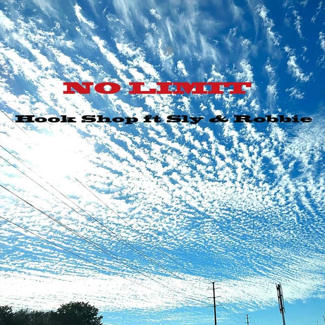 No Limit - Hook Shop