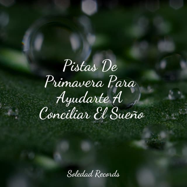 Pistas De Primavera Para Ayudarte A Conciliar El Sueño - Ioga