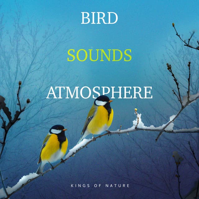 Bird Sounds Atmosphere - Kings of Nature