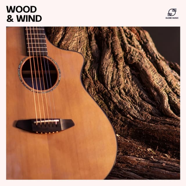 Acoustic Guitar